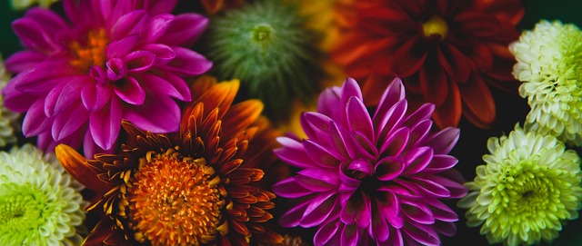 吉鲁：格列兹曼加盟洛杉矶？他很快会和马竞会面.