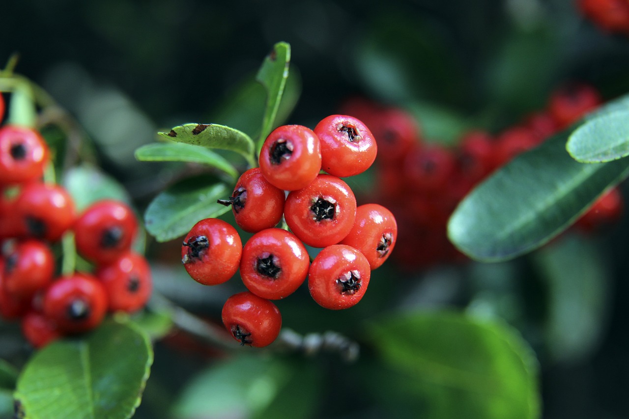 在这场惊心 在这场惊心