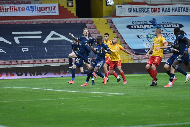 成功引進的 成功引進的