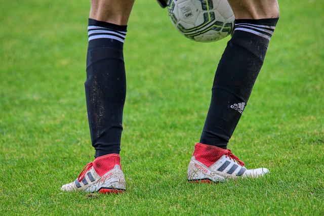 诚与俱乐部 诚与俱乐部