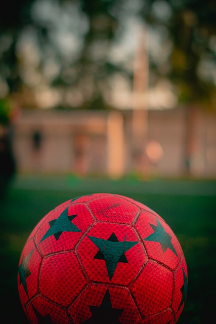 有机会展示 有机会展示