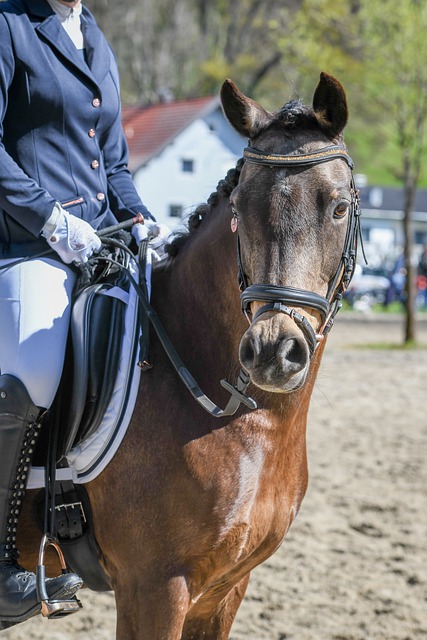 一次頗具爭 一次頗具爭